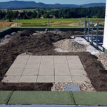 SF-Bau-Dachterrasse Einbau Extensive Begrünung -Neubau Produktionshalle mit Büro-Albershausen-Stahlbau-Schlüsselfertigbau